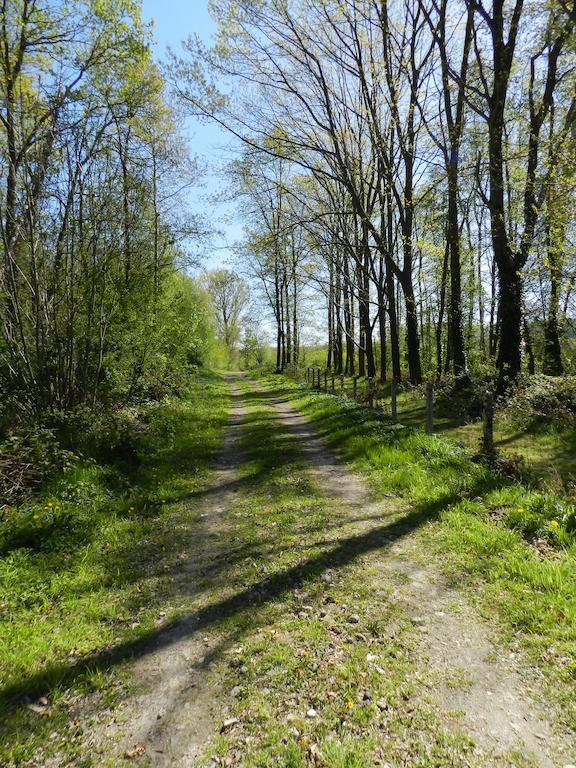 B&B Le Bois De Champia Huy Zewnętrze zdjęcie