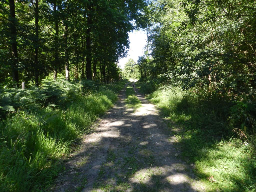 B&B Le Bois De Champia Huy Zewnętrze zdjęcie